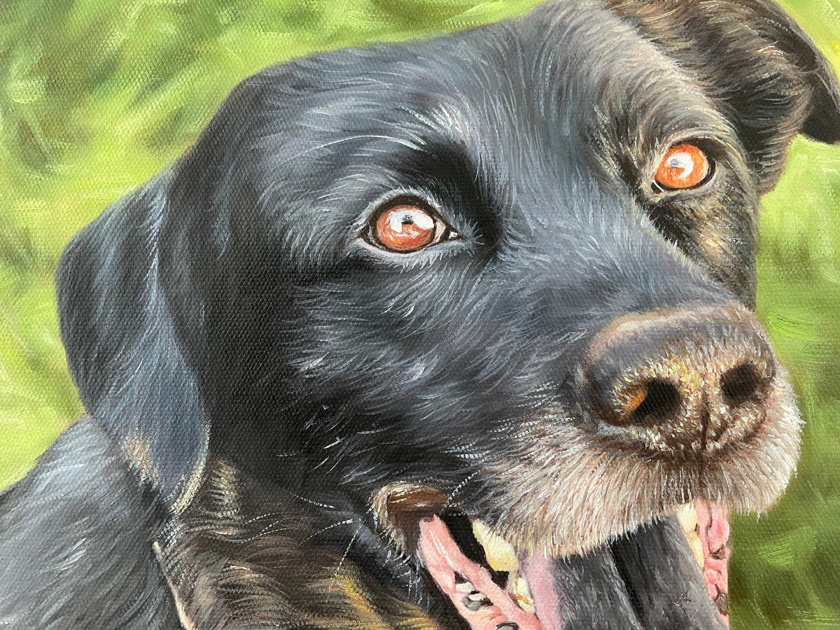 Custom Pet Portrait Oil Painting with Floating Frame - ULikePaintingArt