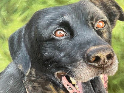 Custom Pet Portrait Oil Painting with Floating Frame - ULikePaintingArt